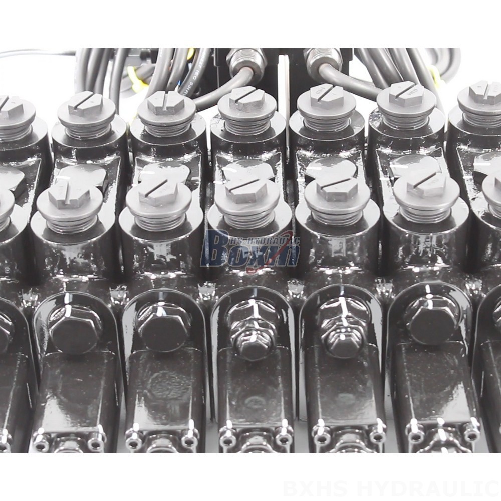 Customizable DCV150-10-NPT Hydraulic Valves - OEM, ODM & Private Label Services detail image